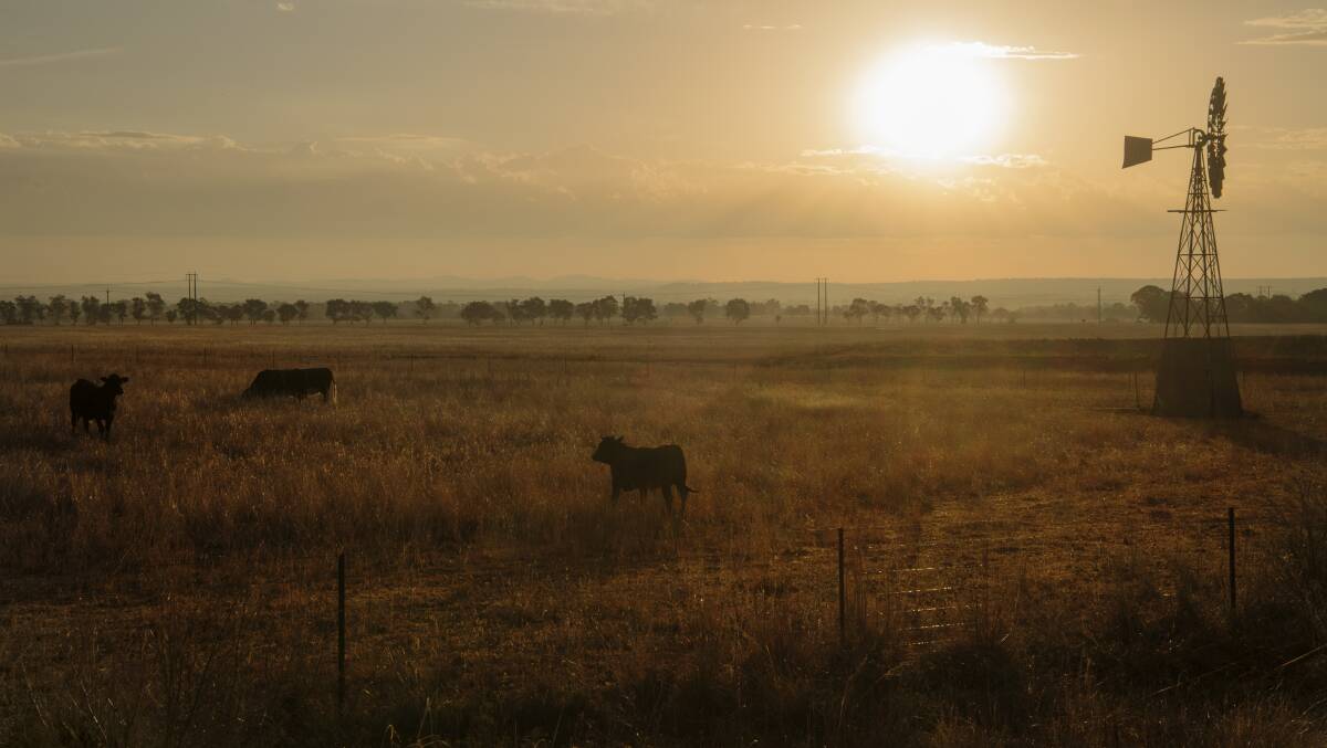 Nearly 500,000 hectares, about a quarter of the state’s stock reserve network, is through the east and centre of the state. That resource is managed by LLS, and is considered far more widely-used and valuable than the 1.5-million hectare TSR network managed by Department of Industry in the Western Division.   