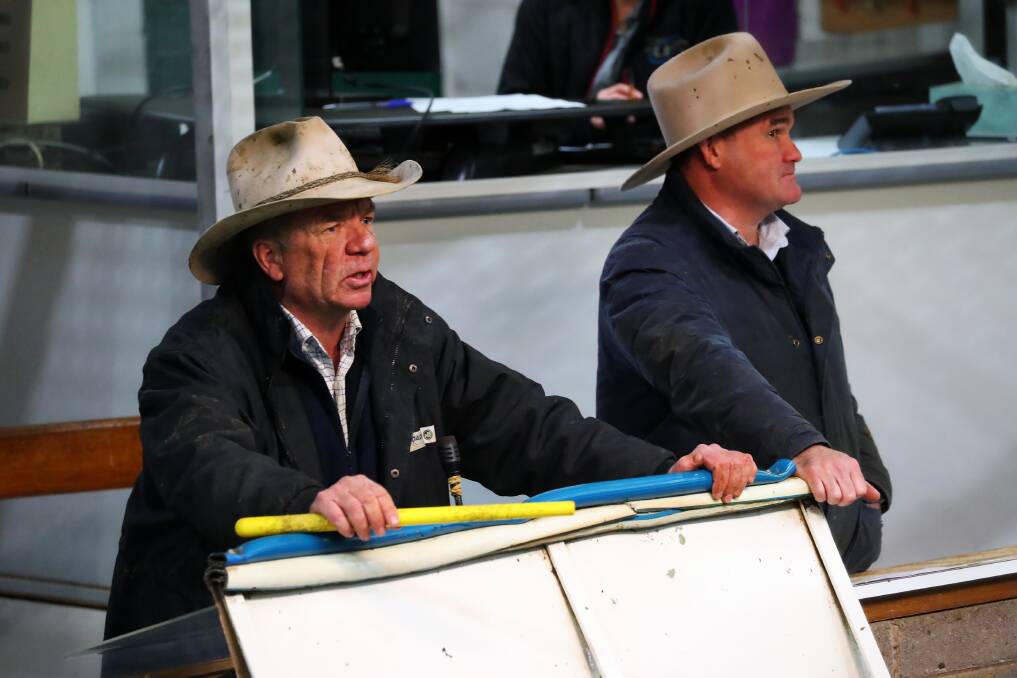 TAKING THE BIDS: Auctioneers Mark Logan and Dan O'Brien of RH Blake and Co, Wagga take the bids during the Wagga cattle market. Picture: Emma Hillier