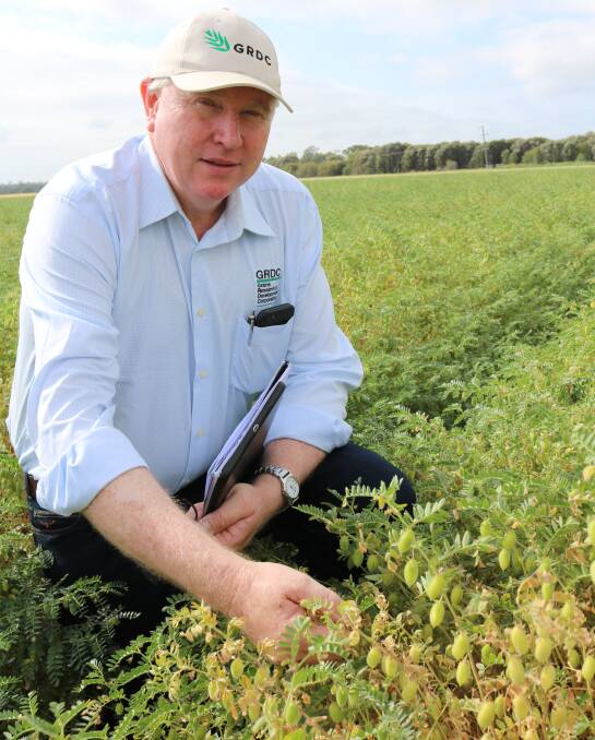 FARMERS KEPT 'UPDATED': Grains Research and Development Corporation northern regional chairman John Minogue inspects a crop of chickpeas. 