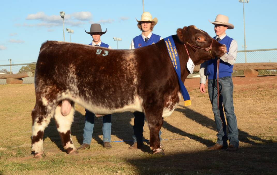 GENETIC SUCCESS: Harry Morris, Samuel Thomas and Lachlan West of Yanco Agricultural High School holding their class winner Yanco Nautical Mile. Picture: Mark Griggs 