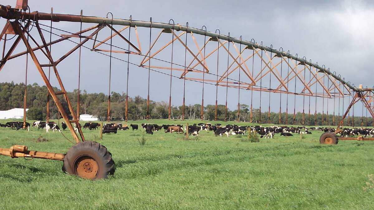 A foreign investor has purchased two properties at Scott River for about $11 million, with one being large dairy farm Dunmore. Photo: Elders.