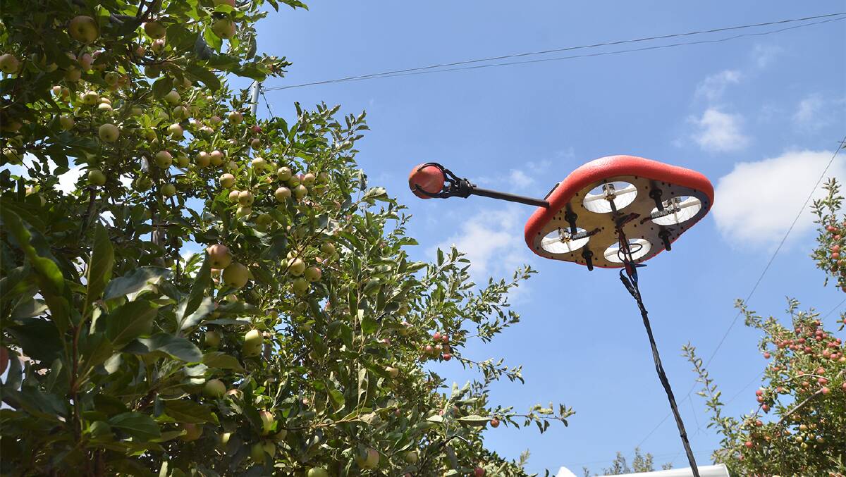 FUTURISTIC: Harvesting an apple with a flying autonomous robot developed by Tevel Aerobotics Technologies Ltd, Israel.