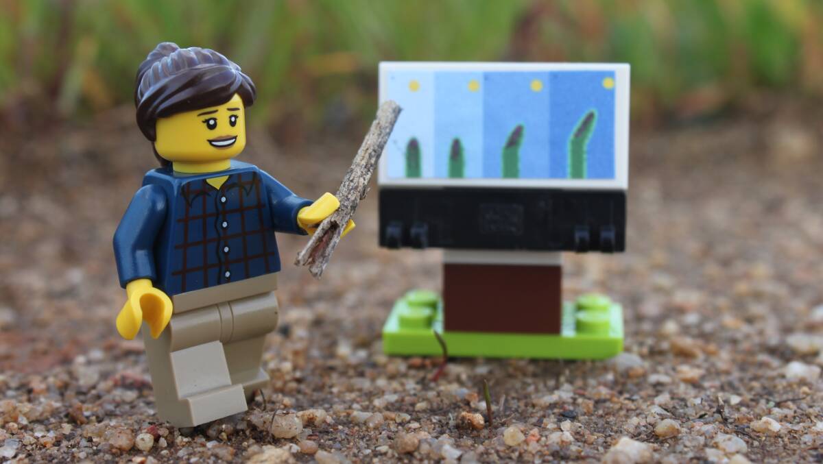 An agricultural teacher is just one of the many characters that make up Little BRICK Pastoral which are used to tell stories of the industry, share information and highlight different careers.