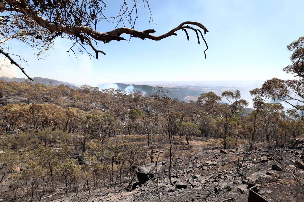 CONTAINED: The Mount Canobolas fire on Wednesday. Photo: ANDREW MURRAY
