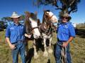 HEAVY HORSES: Joey Reedy and John Reedy with their horses, ready to strut their stuff at the show.