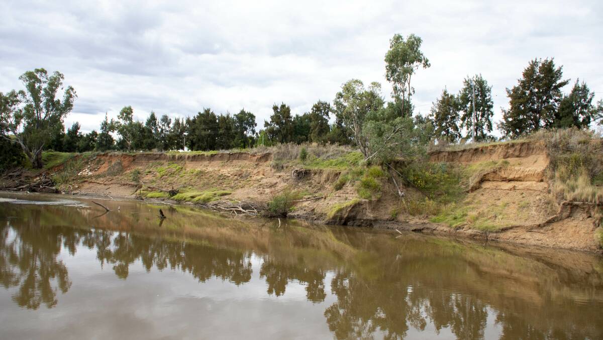 Bank erosion along Macquarie River at Lady Cutler South Side. Picture by Belinda Soole 