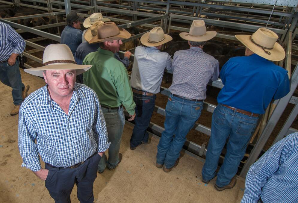 CASH SPLASH: Barnaby Joyce made another visit to the Hunter, a seat which the National Party thinks it can wrestle from Labor. Photo: Peter Hardin