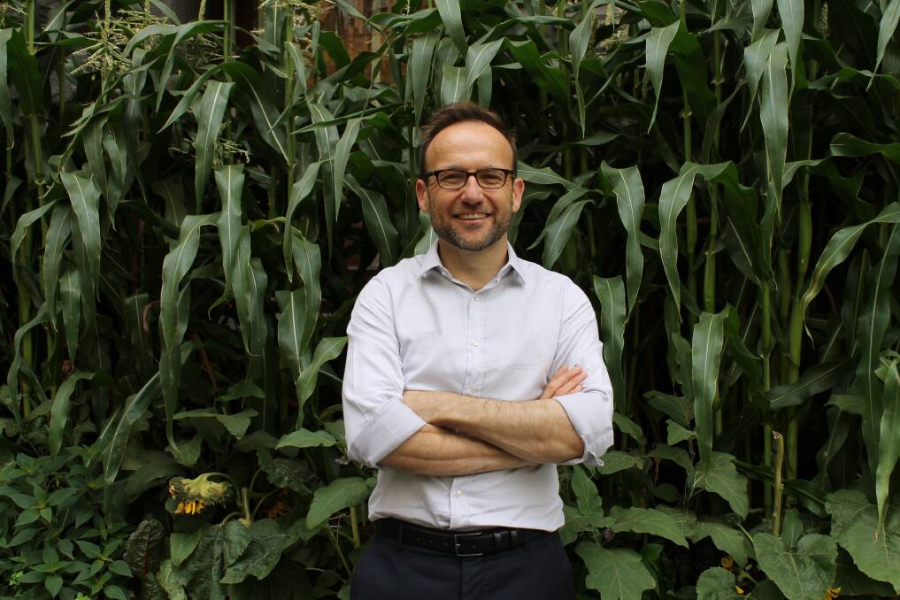 NEW LEADER: New Greens leader Adam Bandt wants to get out into regional Australia, to tell people the Greens policies 'straight from the horse's mouth'.