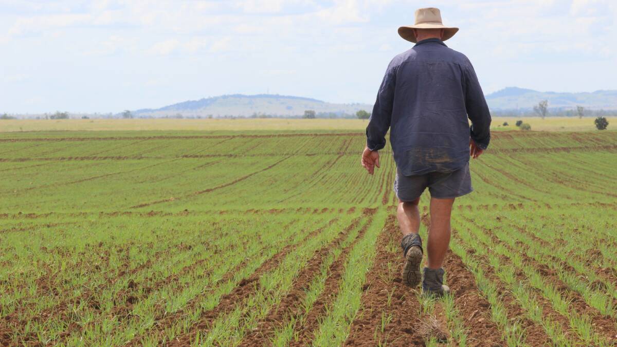 Low-interest RIC loans expanded to more types of farming
