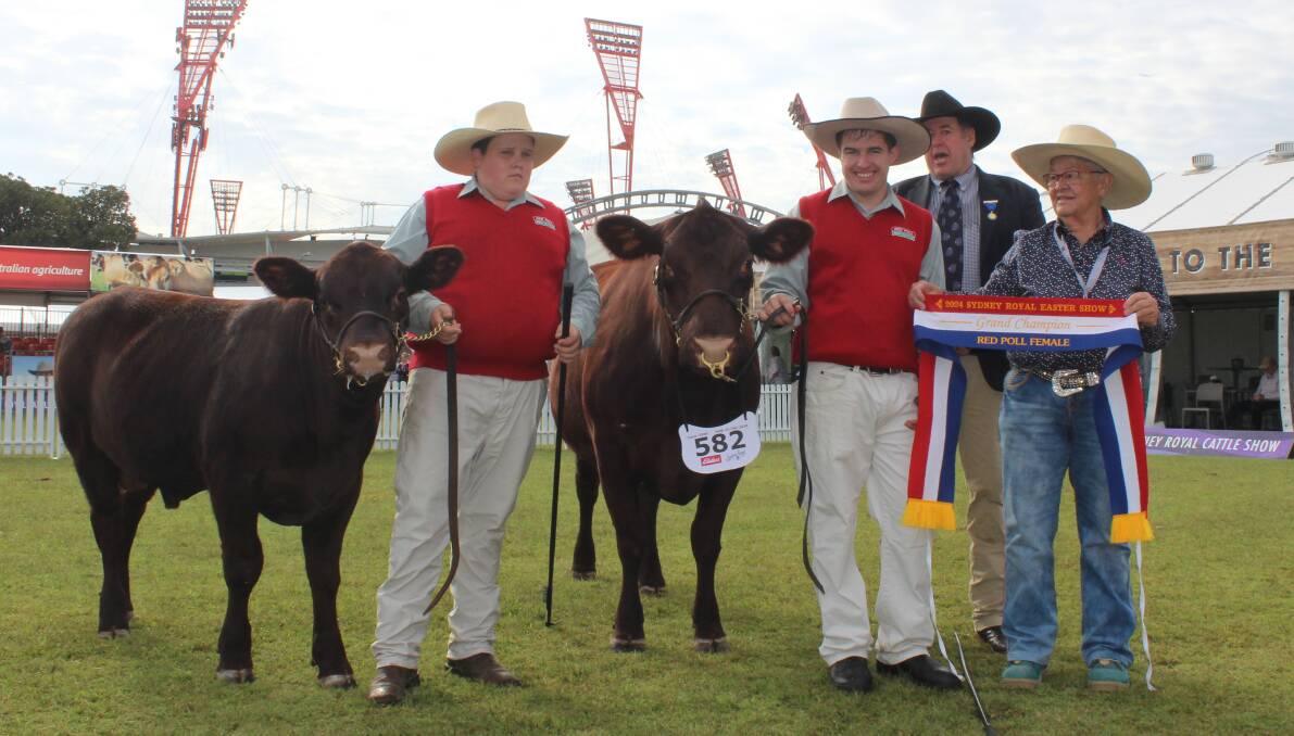 Angus Burton, Euroa, Vic, Jared Mackelmann, Invergordon, Vic, judge Nicholas Job, Yeoval, and Professor Kim Usher, Red Rush and JSK Simmentals, Armidale, with the best exhibit, senior and grand champion female. Picture by Hayley Warden