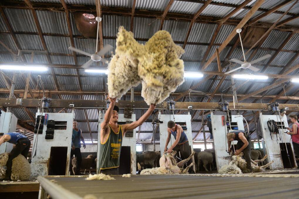 The wool market is expected to continue its upward trend, given the expected supply pressures.