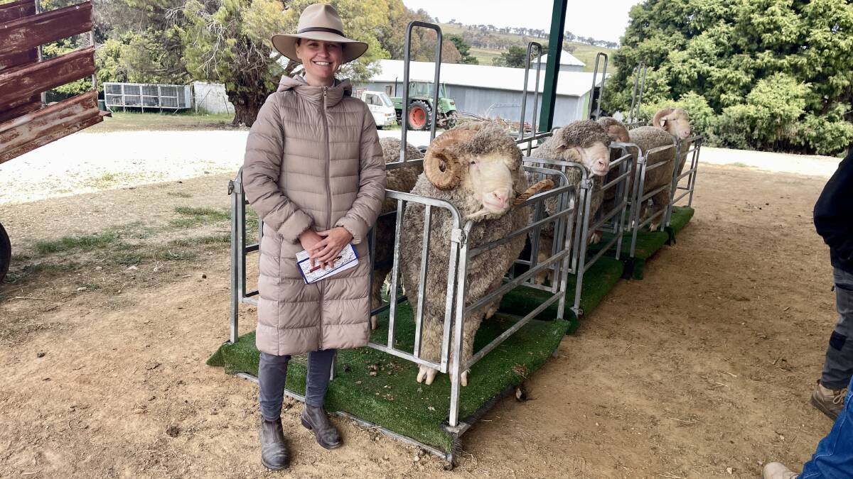 "I'm pretty sure this Thalabah Merino ram is well over twice my bodyweight," journalist Hayley Warden says.