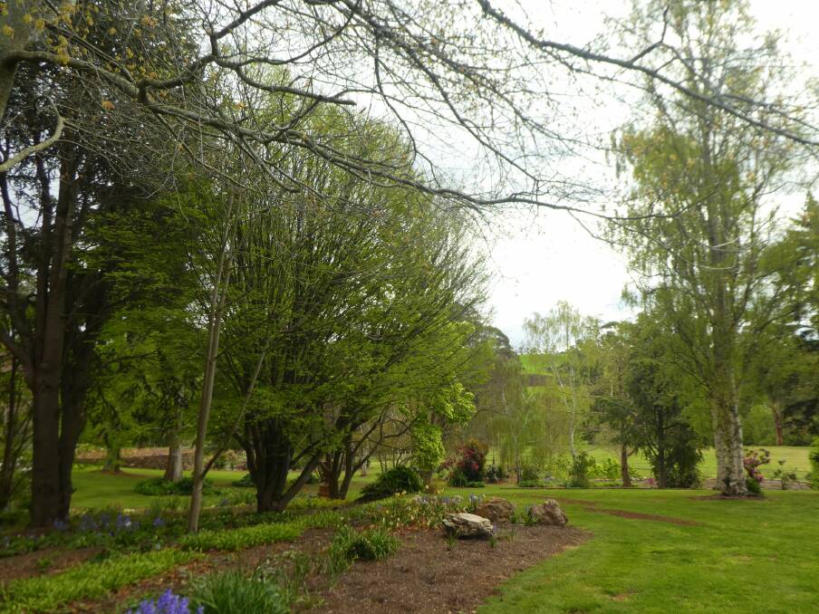 Heaven on earth! Derelie and Bob Cherry's new home near Ulverstone, northern Tasmania is in one of Australia's stellar gardening destinations.