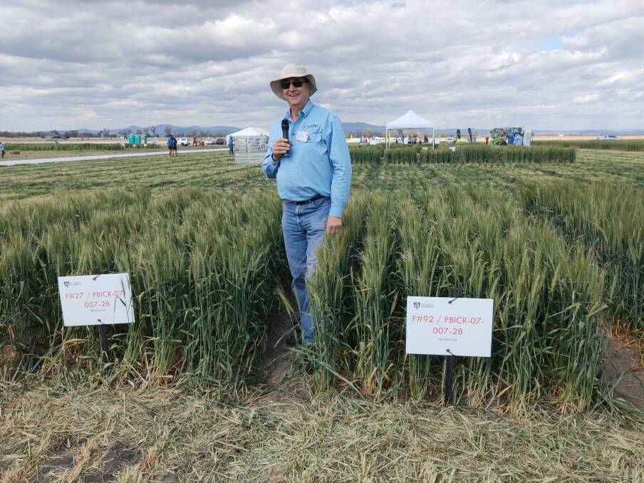 Leader of the University of Sydney Hybrid wheat development program, Professor Richard Trethowan. He believes hybrid wheat production is the next big commercial scale innovation likely to dramatically lift wheat yields.