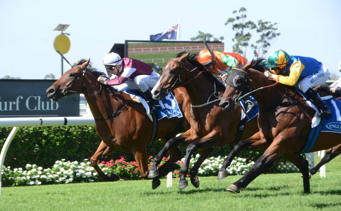 Safe Landing (Chad Lever) wins the Inglis Country Highway at Warwick Farm in a close finish from right Professor Marx (Billy Owen) second, and centre Common Purpose (Hugh Bowman) third. Photo Virginia Harvey