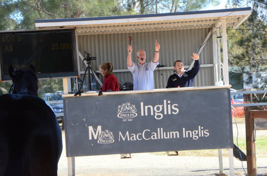 The Inglis Scone Yearling Sale auctioneers in full-swing selling yearlings with Bonnie Connellan, Jonathon D'Arcy and Brett Gilding seen in the box. Photo Virginia Harvey