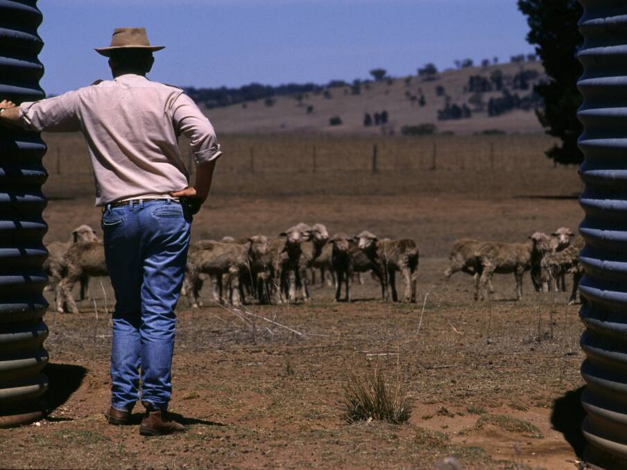 Mal Peters says tackling the crippling drought will take strong leadership from Prime Minister Scott Morrison.