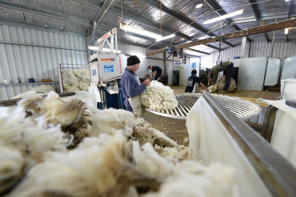 A total of 25,000 bales were sold last week and all Merino fleece categories finished higher.