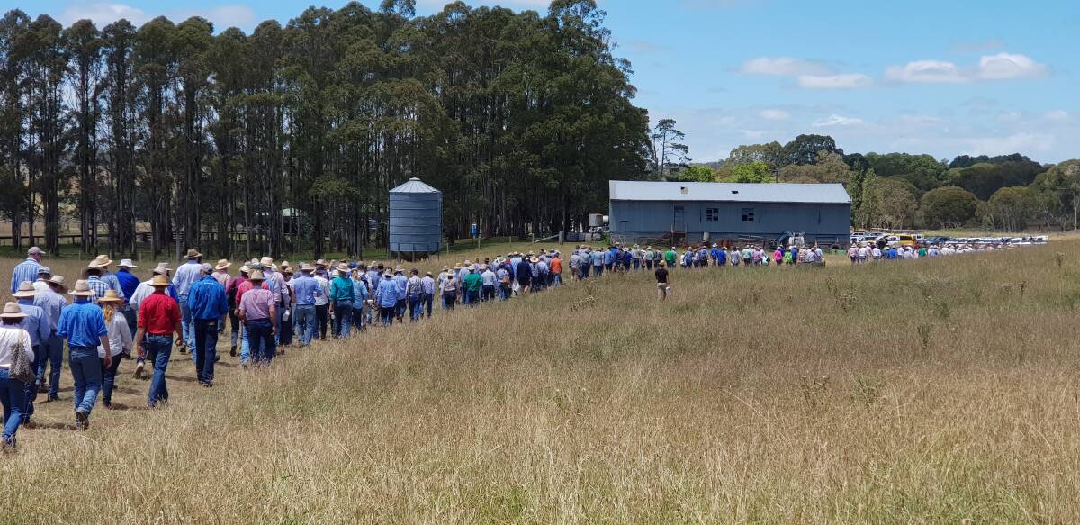 On February 6, The Land featured a photo beneath the headline "Investors seek change". It showed a long line of farmers walking towards a shed.