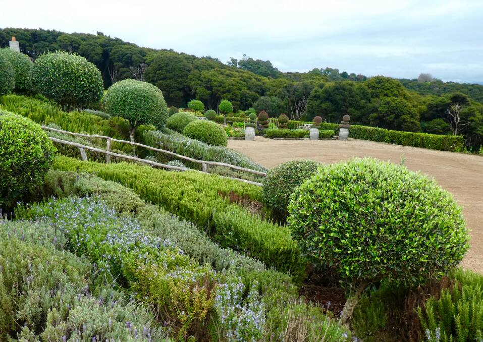 The terraced garden at Mudbrick Vineyard & Restaurant, Waiheke Island, New Zealand. Note the drought-proof gravel 'lawn'.