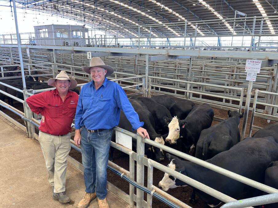Tim Mackay, Forbes Livestock, and vendor Jeff Kirk, Condobolin, with 12 black baldy cows with calves, which sold for $3800 a unit at Forbes last Friday. Picture supplied