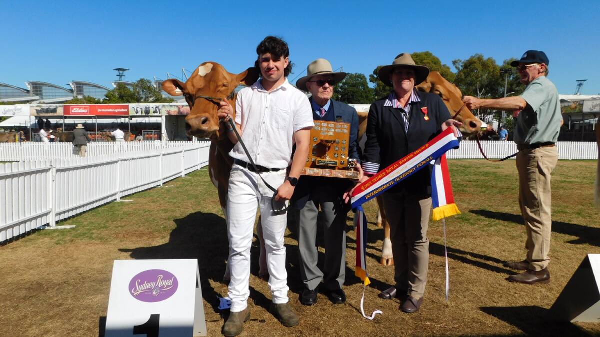 Lachie Joyce, Neville Russell, Meadow View Guernseys, Bega, and steward Leeanne Tame with intermediate champion female Guernsey, Florando Koala Latimer. Picture by Hayley Warden