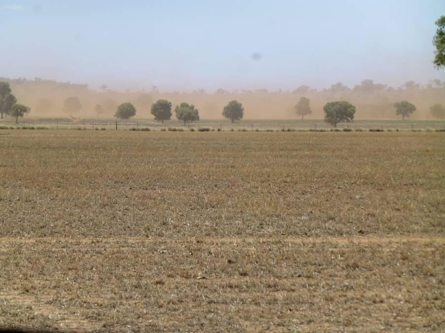 Even low levels of cereal stubble (foreground area) has been enough to prevent significant wind erosion this current drought. In the background wind erosion from paddocks totally devoid of ground cover.