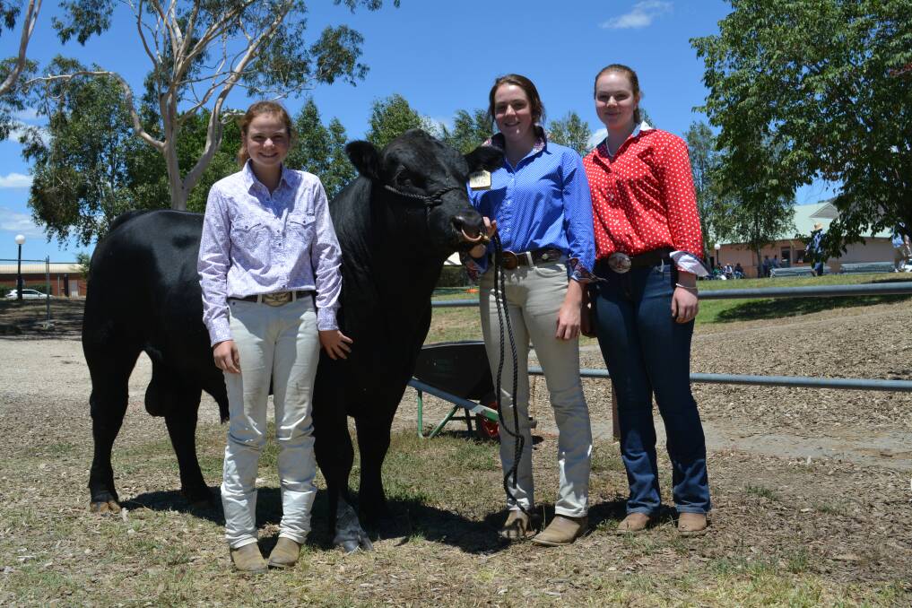 Braidwood Angus breeders Zoe, Hannah and Sophie Cargill with their champion bull Billaglen Man of War M5 at the 2018 Angus Youth National Roundup.