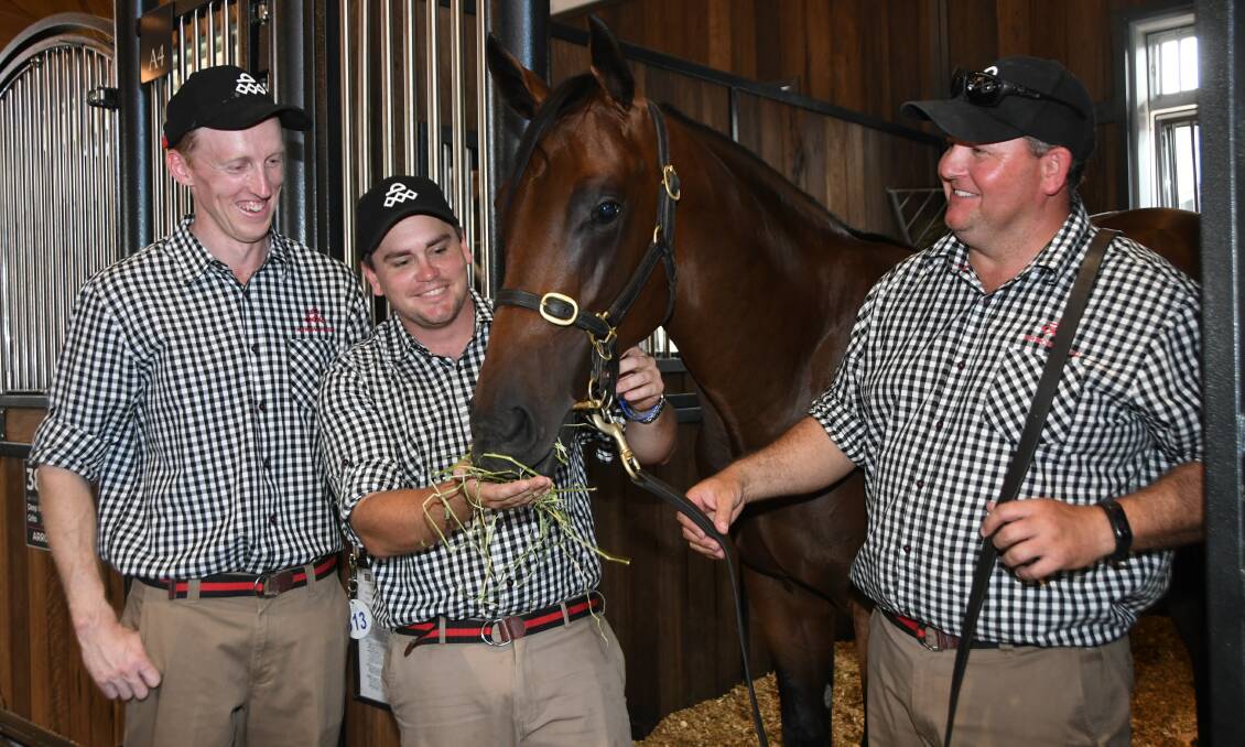 Arrowfield Stud handlers Mitch Ralph, Jarryd Stennett and Adam Shankley with the Redoute's Choice colt, from Top Cuban which sold for $1m at Inglis' Easter Yearling Sale.