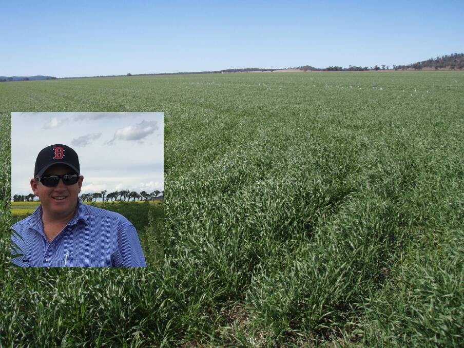 Research agronomist Matt Gardner, led a study showing differences between high and low elevation parts of paddocks. He suggests consideration be given to specific variety and sowing time for different parts of paddocks.