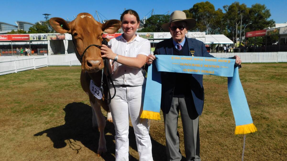 Sophie Joyce, Tongala, Victoria, and Neville Russell, Meadow View Guernseys, Bega, with intermediate Guernsey female honourable mention, Kalaso Jaguar Koala. Picture by Hayley Warden