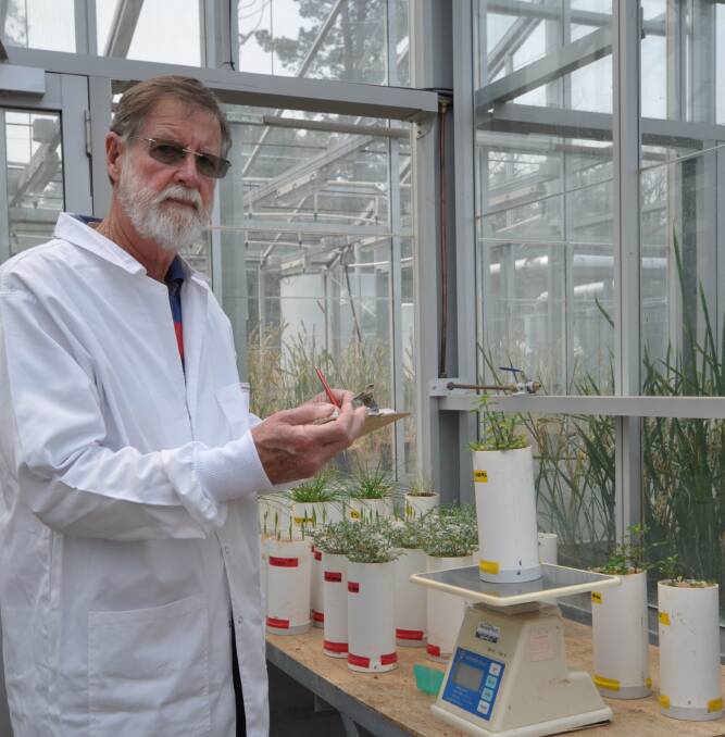 Adjunct associate lecturer Peter English, reports that silicon (Si) deficiency is more widespread than commonly thought. Adding water-soluble Si improves phosphorus uptake in many species on acid low phosphorus soils.