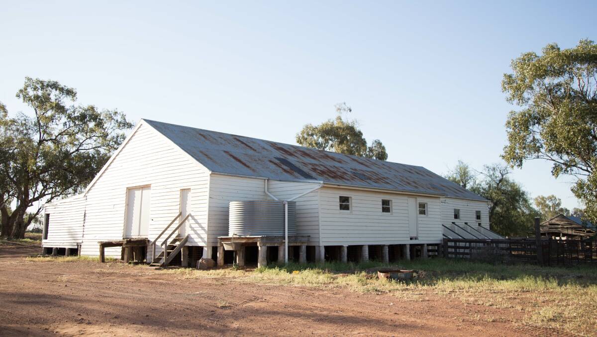 Working structures include the six-stand (originally eight) shearing shed, built just over a century ago using local pine, sheep and cattle yards, steel machinery shed and workshop.