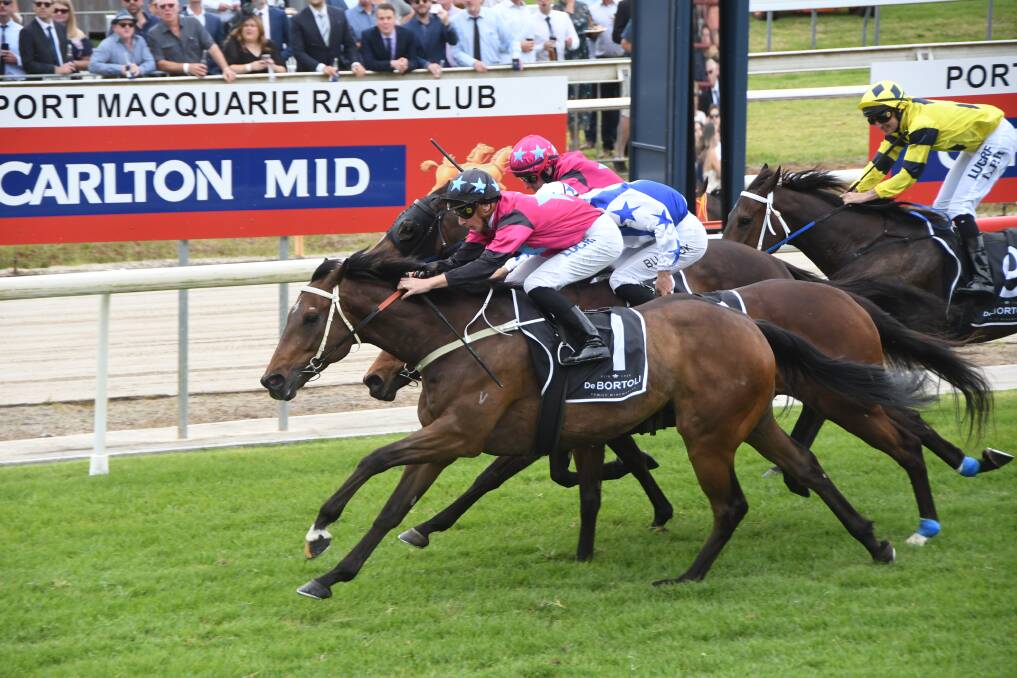 Ben Looker rides Plonka to win at Port Macquarie. The horse won again on the Iron Jack Golden Eagle day at Rosehill on Saturday. Photo Virginia Harvey