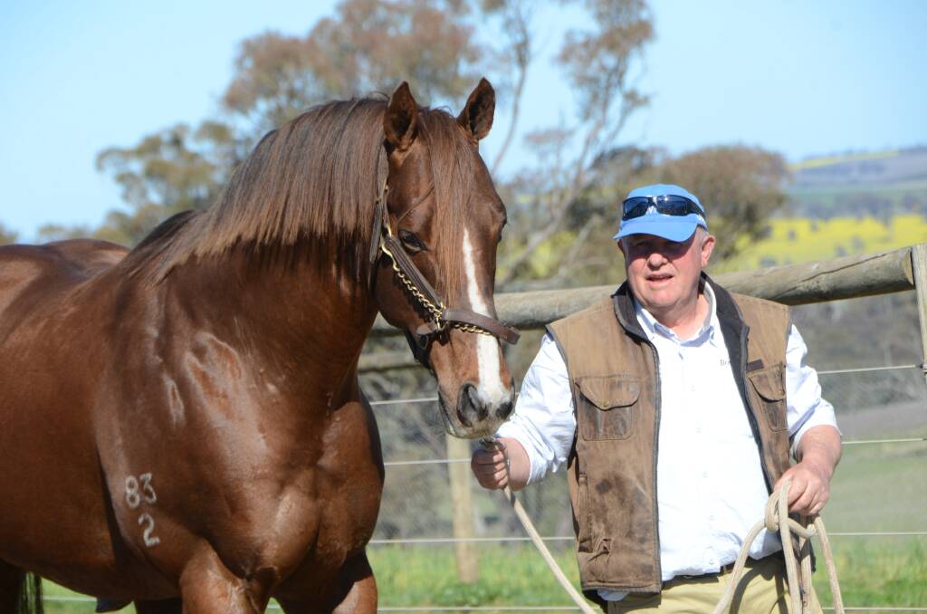 Bowness Stud, Young, owner/operator John North with prolific winner-getting sire Bon Hoffa. Photo Virginia Harvey