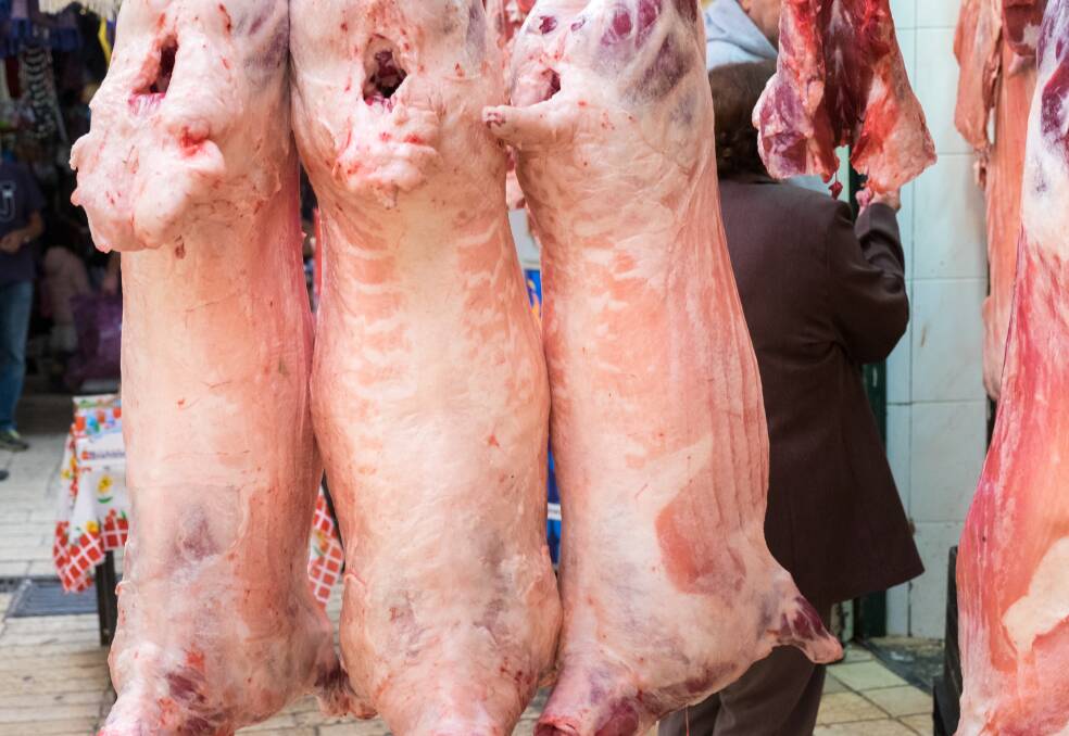 A trip to the Middle East enabled Sheep Producers to see first-hand Australian sheep in the feedlots and abattoir system, as well as understand the growing opportunities for chilled and carcase meat.