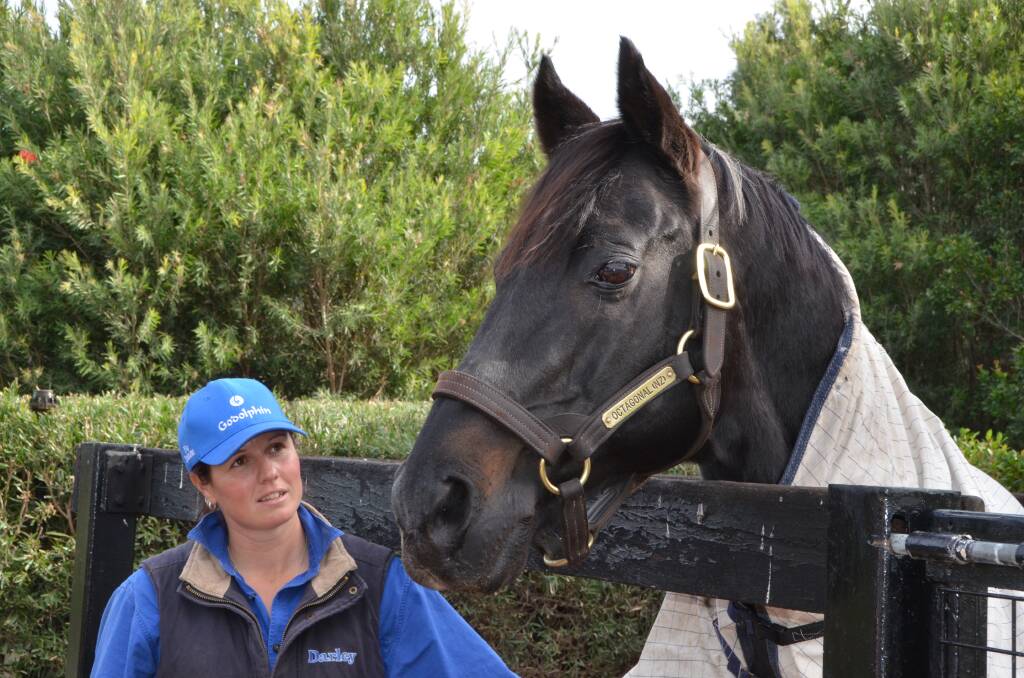 Groom Toni Collins with Octagonal who was in retirement at Godolphin owned "Woodlands" near Denman, pictured about five months prior to his death in 2016. Photo Virginia Harvey