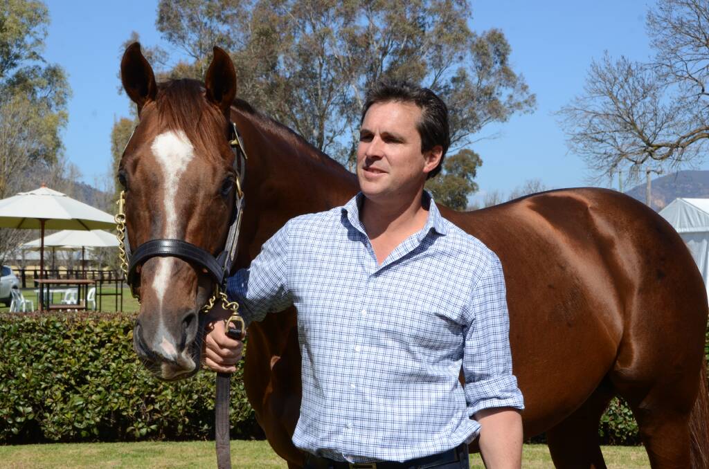Owner/proprietor of Widden Stud Antony Thompson with outstanding stallion Sebring. Widden is offering five youngsters by the now deceased More Than Ready sire at the Inglis' Easter Yearling Sale. Photo by Virginia Harvey.