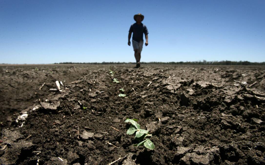 After a year that was the hottest and driest on record, farmers across NSW are wondering when the rain will come.
