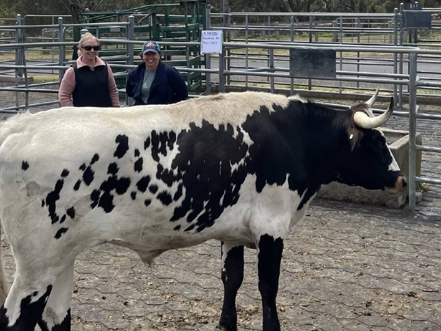 Vendor Ancret Shipton, Kanoona, and Nikki Lea D'Arcy, Bega, with the $5100 Texas Longhorn steer she sold and bought back to raise money for the 'Donate a Cow for Hugo' fundraiser.