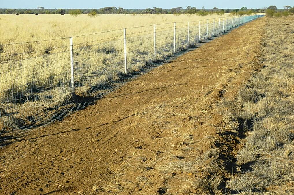 When finished, the exclusion fence will provide farmers in the state's north west with greater protection from wild dogs, a problem that costs the NSW agriculture sector between $50-$60 million each year.