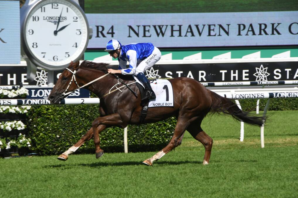 Bon Hoffa racing star and Queanbeyan trained, Noble Boy winning this year's Newhaven Park Country Championship Final at Randwick. Photo Virginia Harvey