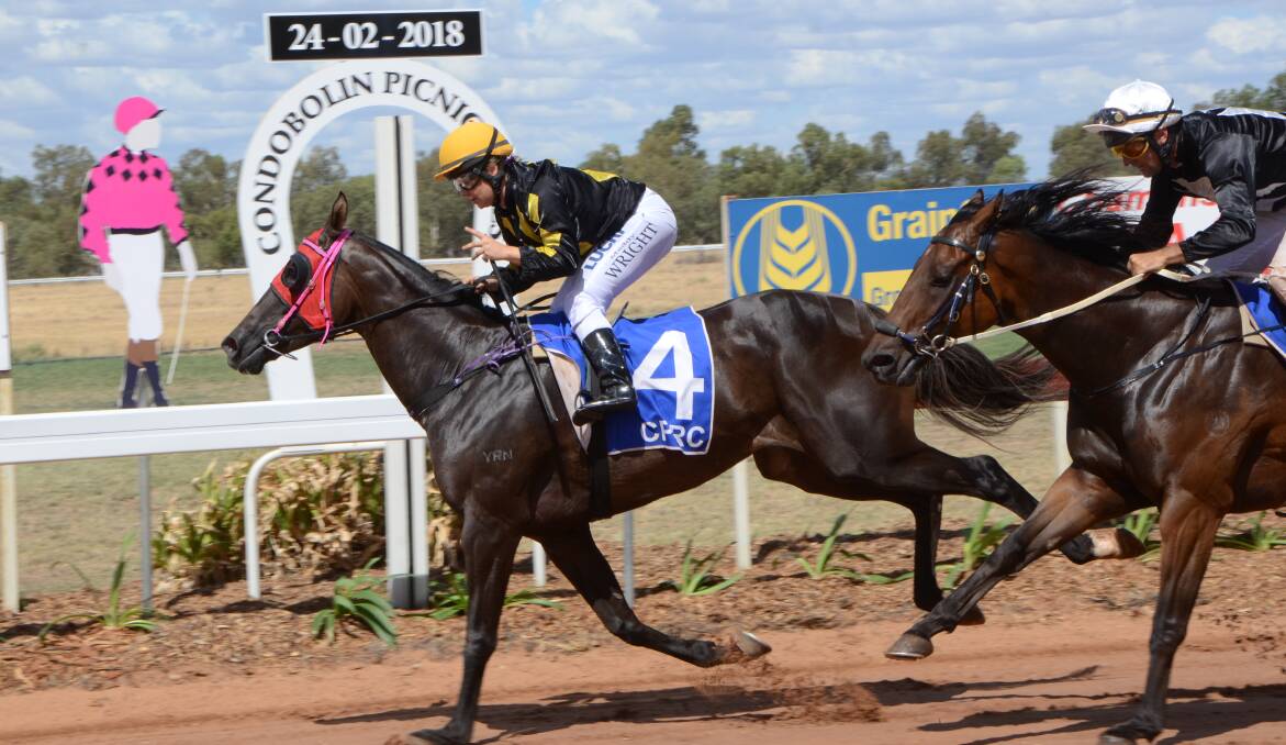 Successful hoop Maddison Wright wins aboard Northern Myth at Condobolin Picnics last year. The hoop is likely to return to the Central Districts track for its 2019 races on Saturday, February 23. Photo Virginia Harvey