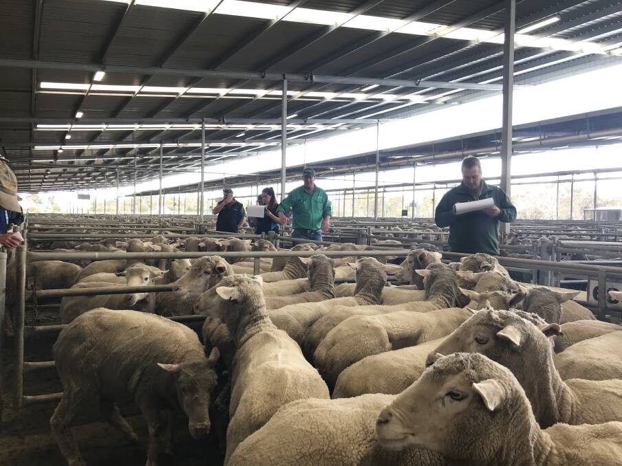 After the seasonal winter lull, sheepmeat exports from Australia to China have surged again as consumers scramble to fill a growing protein gap.