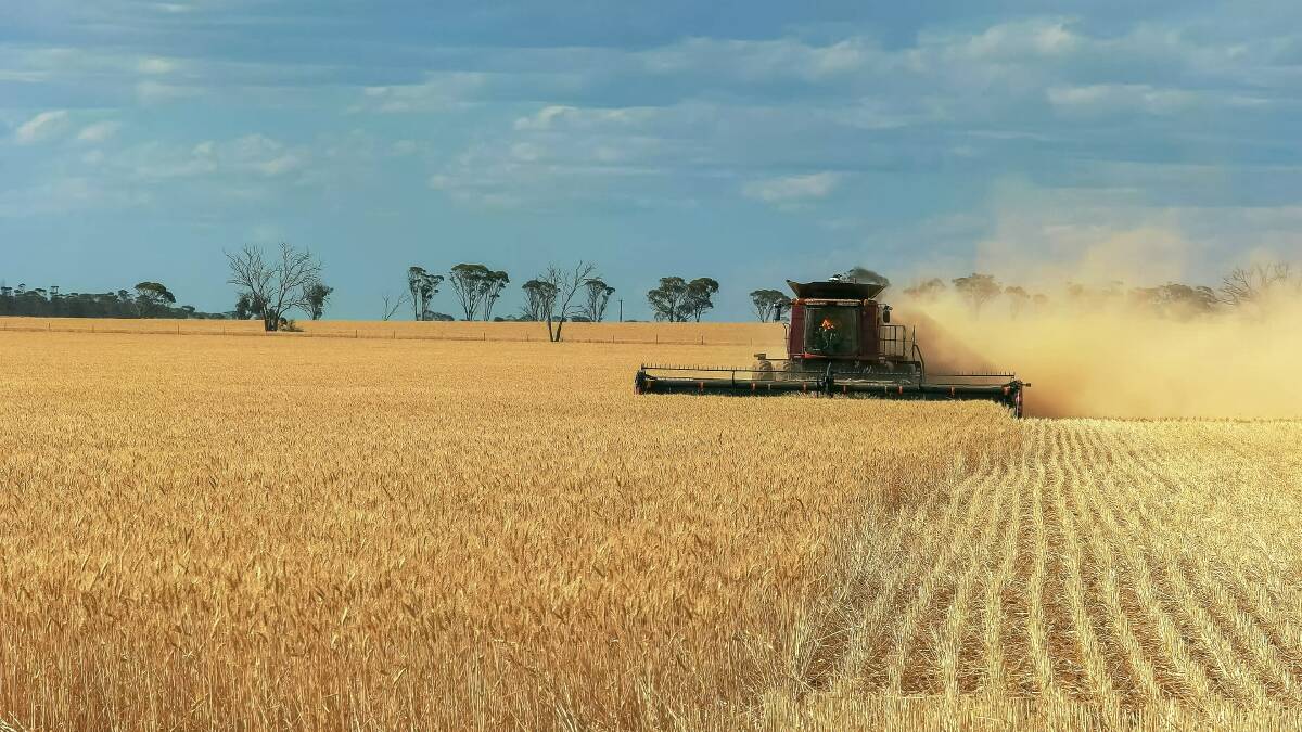 The annual harvest recruitment drive has begun in earnest as the industry looks to secure its chaser bin drivers, grain samplers, weighbridge operators and train drivers for the peak season. Photo by Shutterstock/crbellette.
