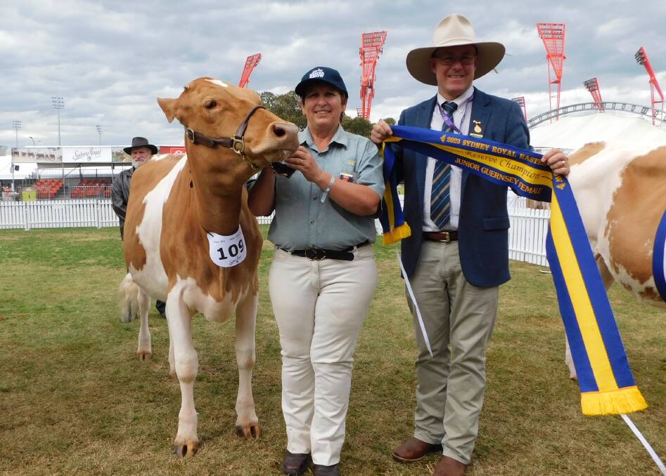Julie Moore, Meadow Vale, Dorrigo, and RAS councillor Alastair Rayner, with reserve junior champion Guernsey Meadow Vale Ernie Angela. Picture by Hayley Warden