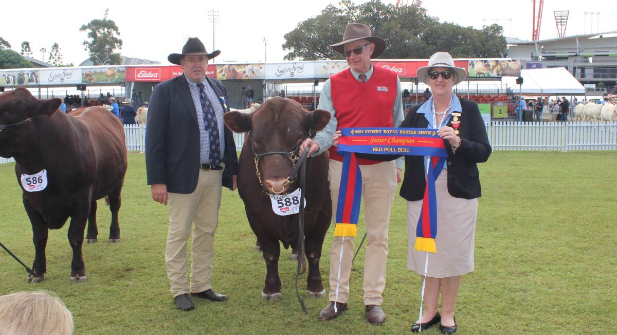 Judge Nicholas Job, Yeoval, Ross Draper, Arthurs Creek, Victoria, and Karina Moore, Camden, with the grand champion bull. Picture by Hayley Warden