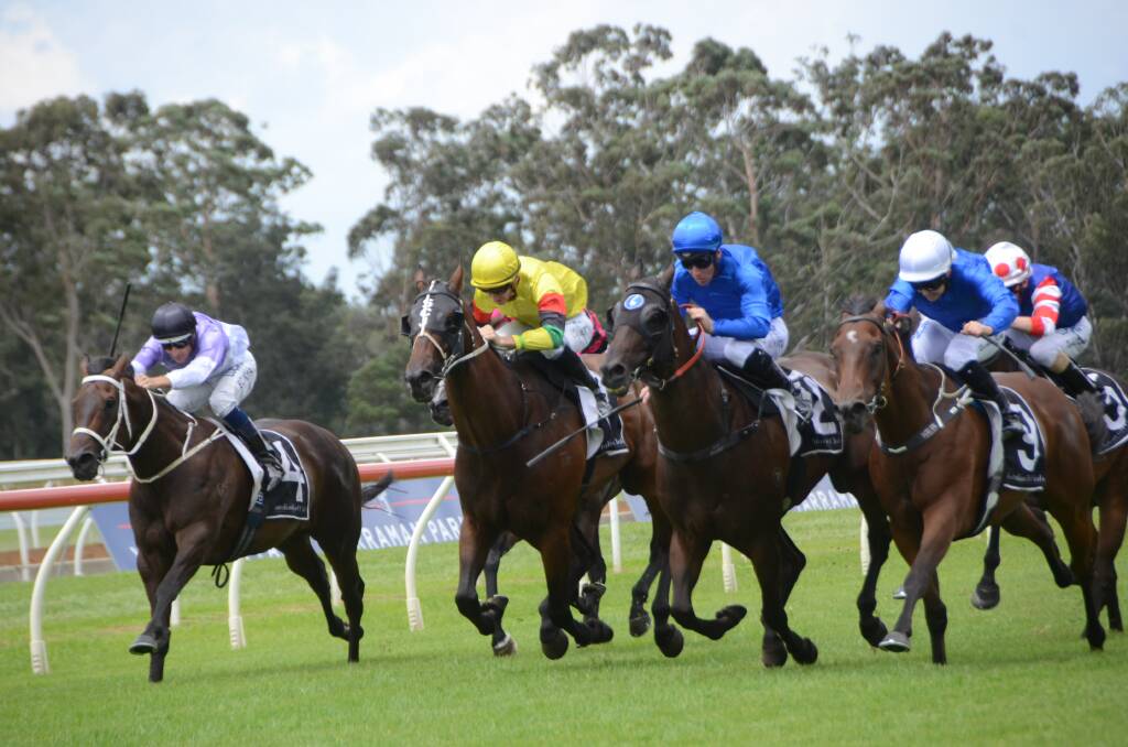 A national adoption of racehorse prizemoney and sales' levy is being sought for after-race programs by Racing Australia from racing authorities. Photo Virginia Harvey