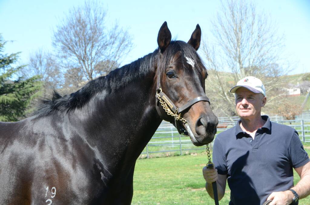 Dual Group 1 winning Pentire stallion, Xtravagant (and handler Ken Parsons, at Newhaven Park, Boorowa) will be represented with his first yearlings at the 2020 sales.