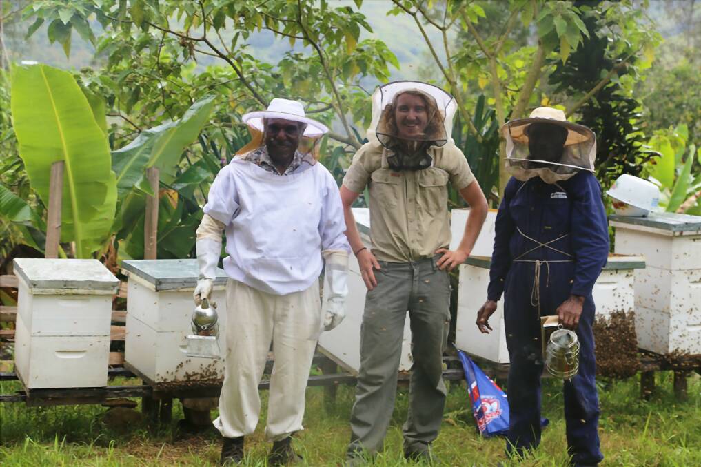 Harvesting honey in the PNG Highlands are beekeeping guru Mr Wilson Tomato, Dr Cooper Schouten and Mr Paki Billy in partnership with the Australian Centre for International Agriculture Research. Picture supplied by Dr Cooper Schouten.